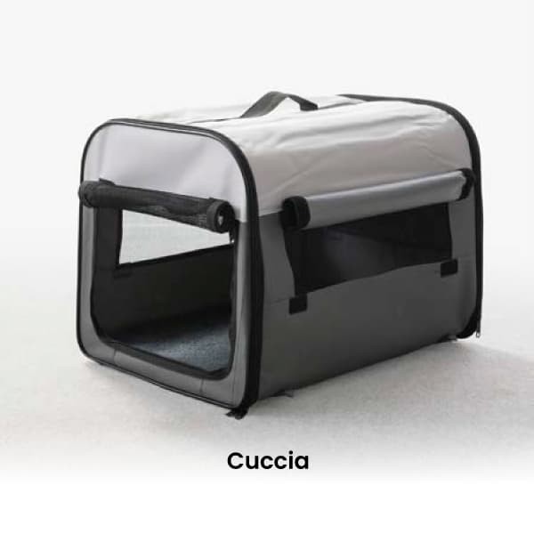 Cuccia